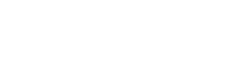 Villa Victoria Academy Logo